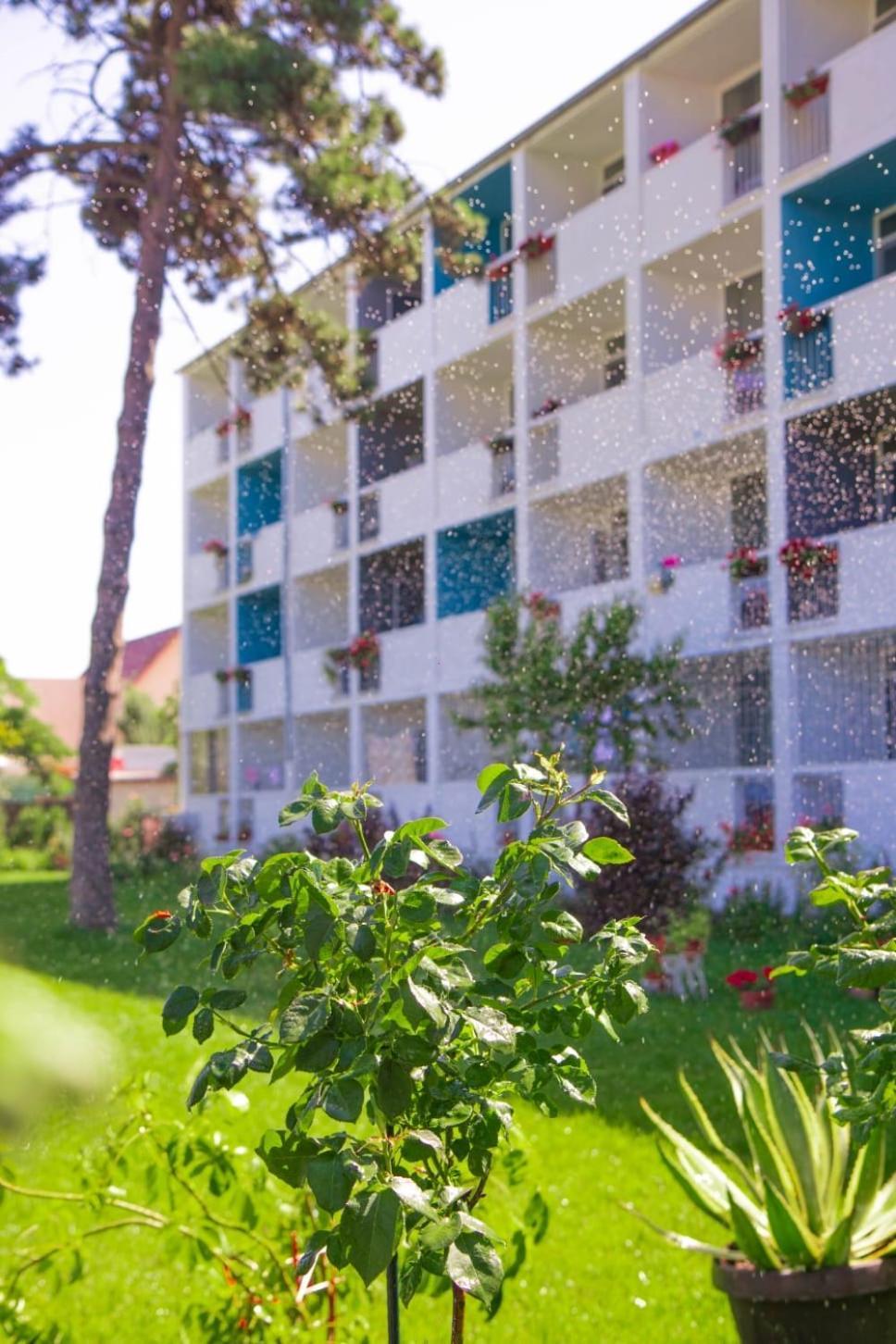 אפורי נורד Hotel Minerva מראה חיצוני תמונה